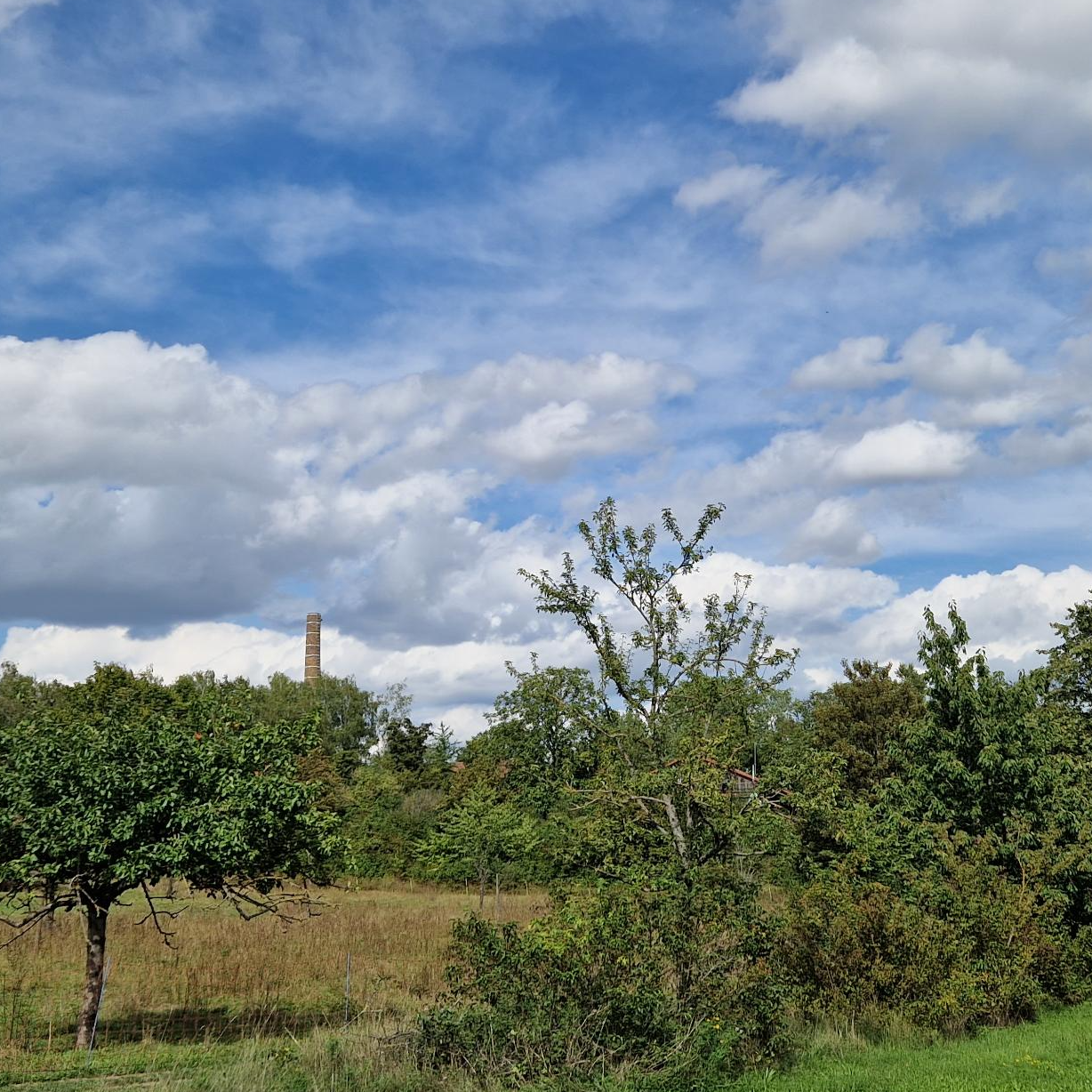 Channel Profile Picture