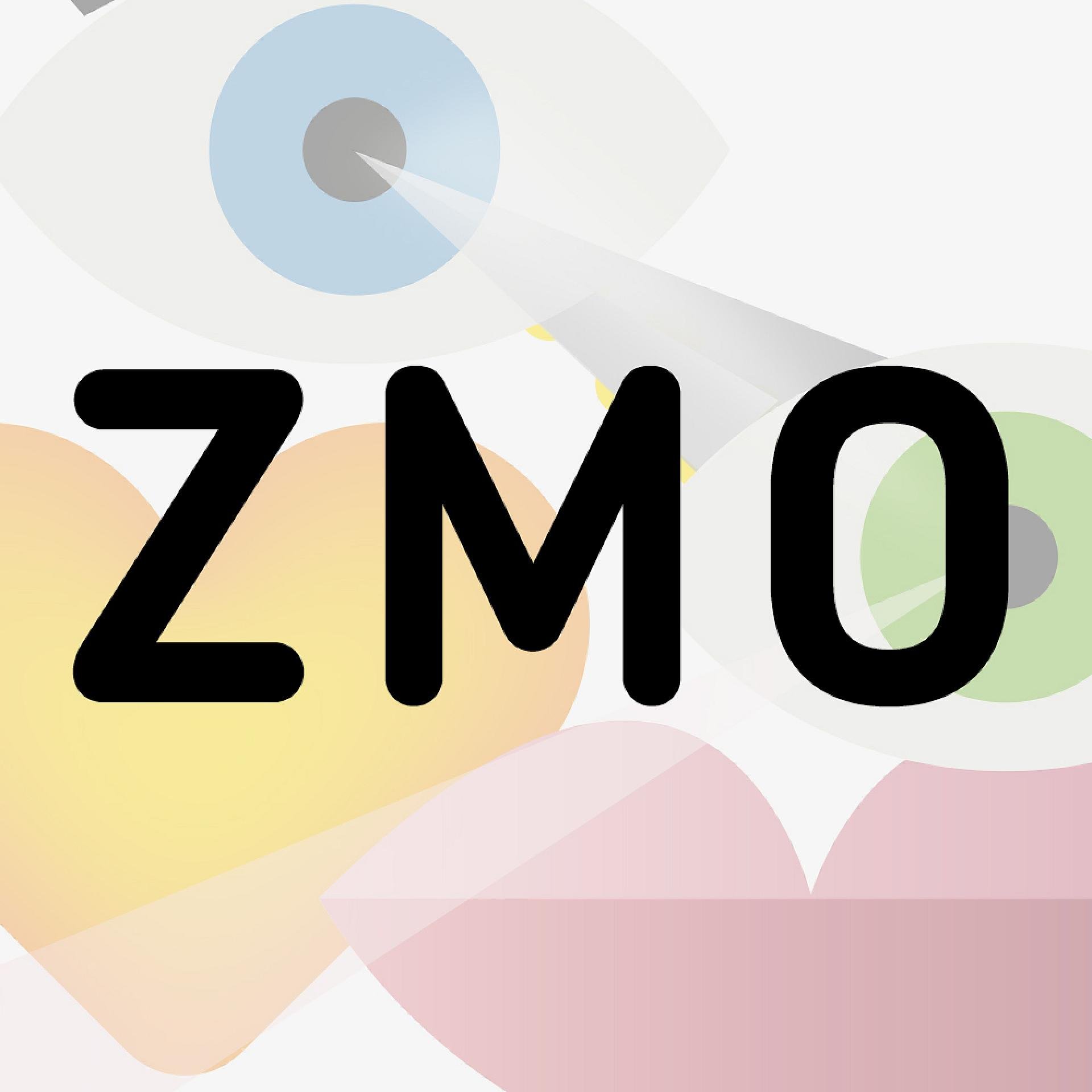 ZMO MAINZ e.V. – Interkulturelles Zentrum –